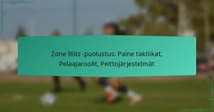 Zone Blitz -puolustus: Paine taktiikat, Pelaajaroolit, Peittojärjestelmät